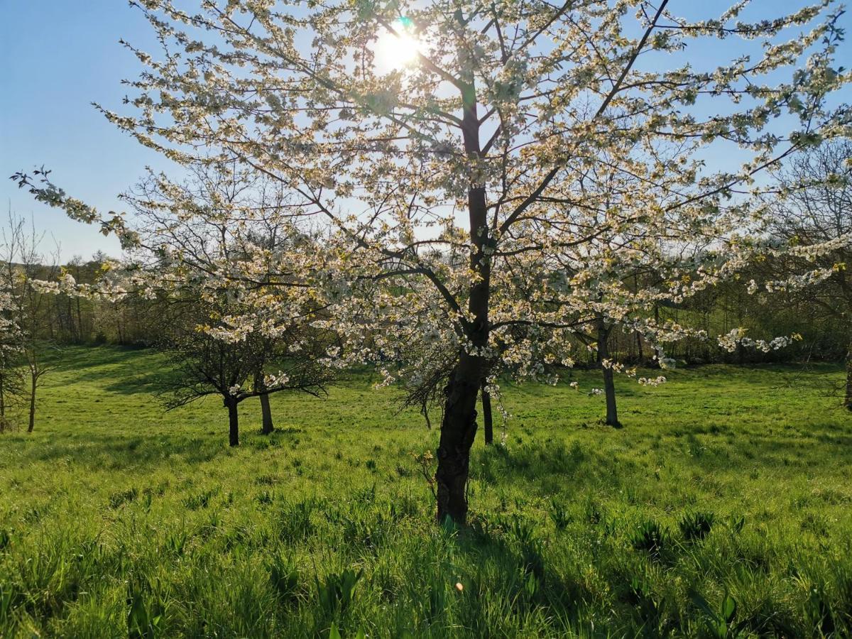 Appartamento Fernwohl Kuernbach Kurnbach Esterno foto